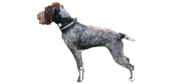 Zum Heitzhausen